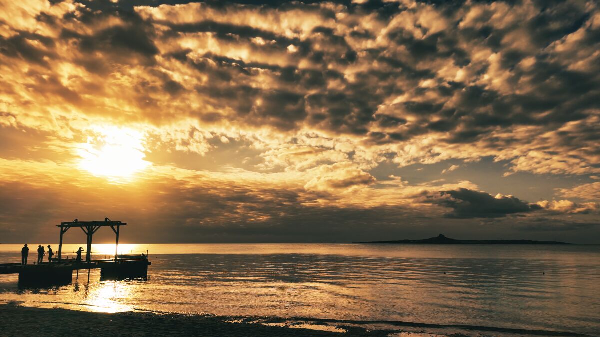 フクギ並木の風景