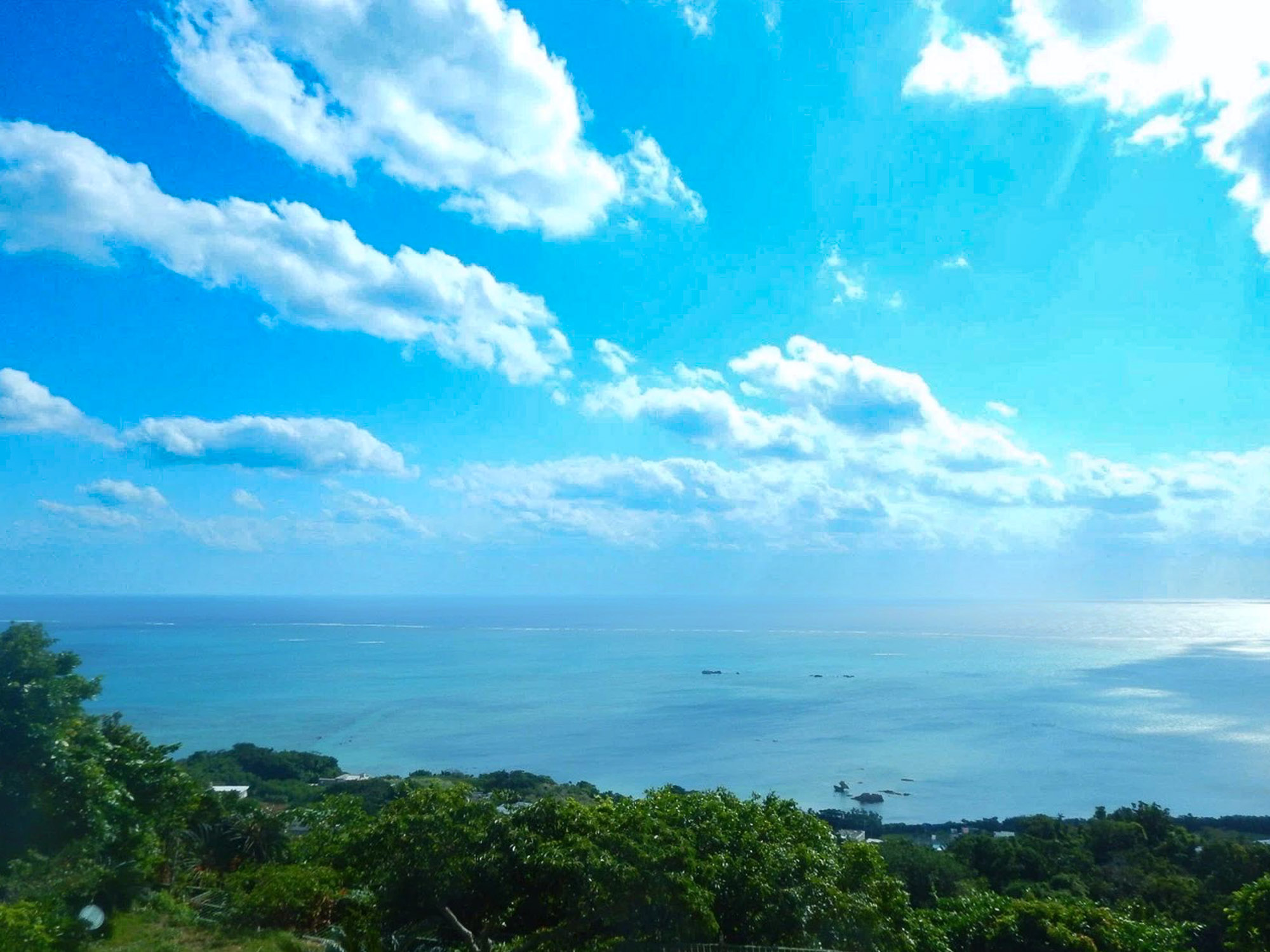 カフェ くるくま